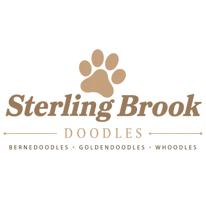 Sterling Brook Doodles