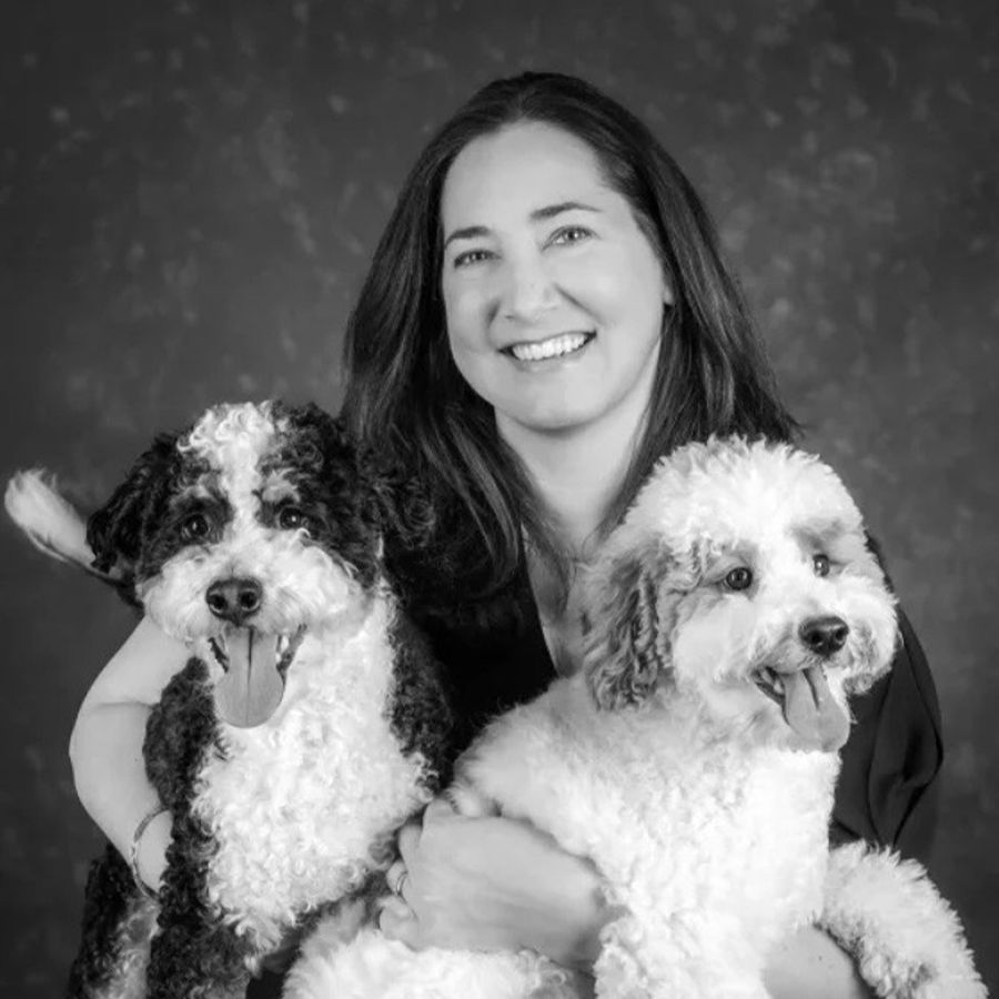 bernedoodles puppies-087