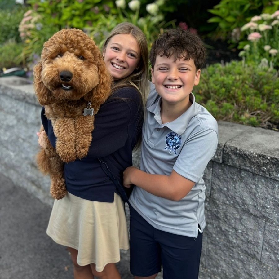 whoodle puppies-005