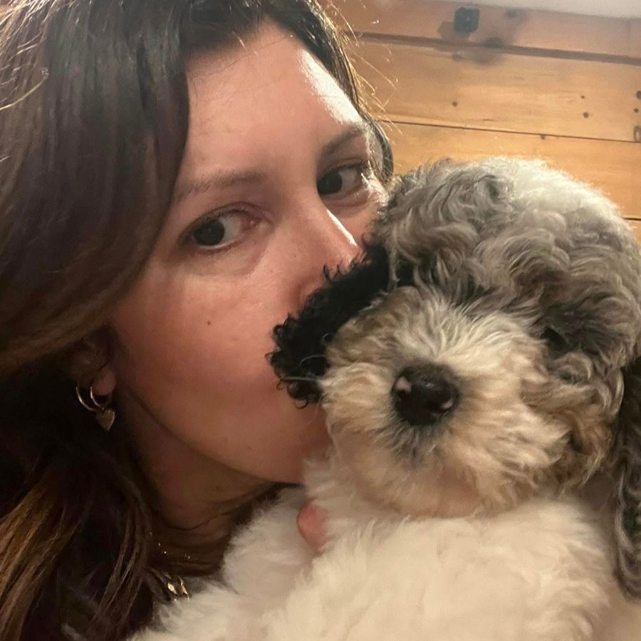 whoodle puppies-007